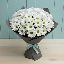 Букет цветов из:  Хризантемы #REPLACE_PRED# Артём
