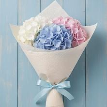 Букет цветов из:  Гортензия в Артём