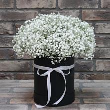 Цветочная композиция из Гипсофила в шляпной коробке в Артём