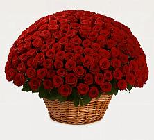 Премиум букет из: Розы в Артём